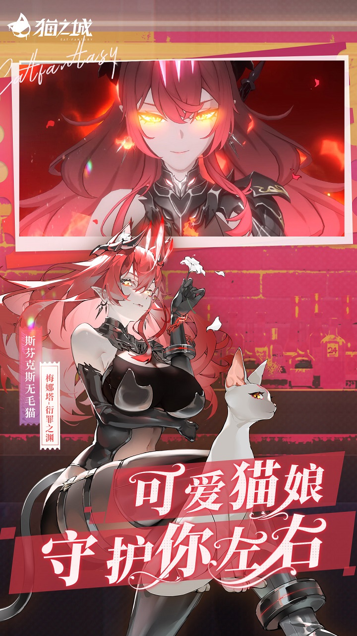 猫之城